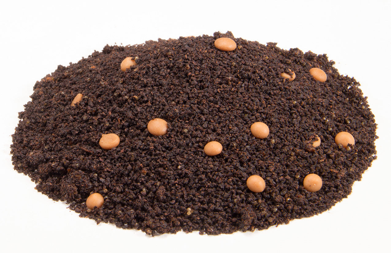 Té negro Assam 'King Salty Caramel'. 50 g