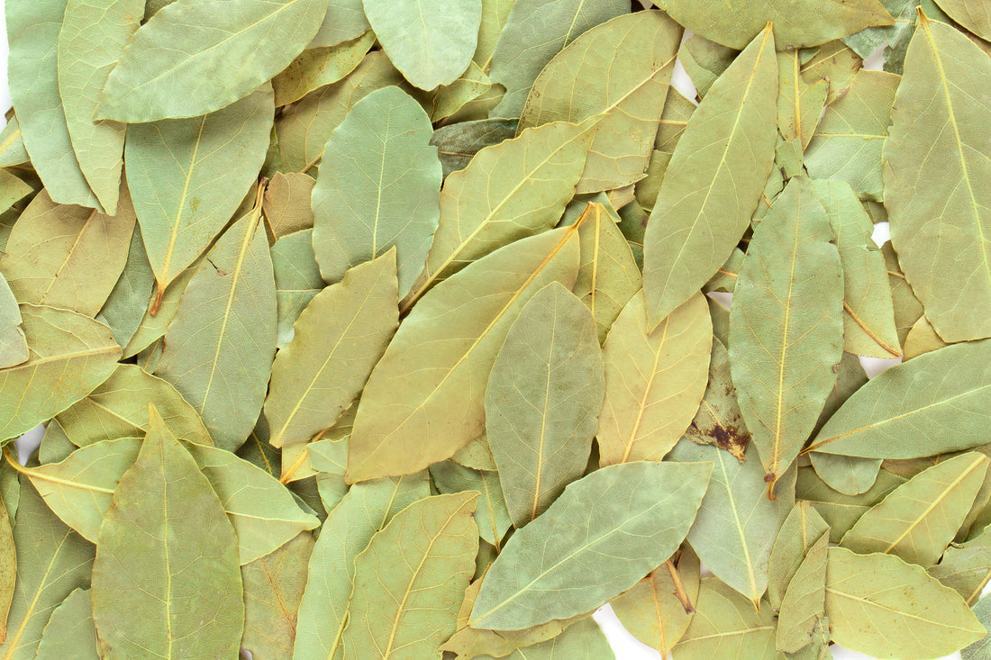 Hoja de Laurel: El Toque Mágico que Transforma tus Guisos