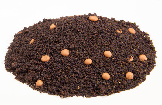 Té negro Assam 'King Salty Caramel'. 50 g